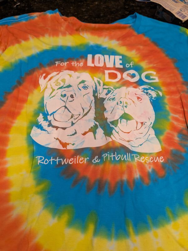 Orange Yellow Teal XL