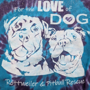 Tie Dye - One of a Kind - Teal and Grape - Sz XL